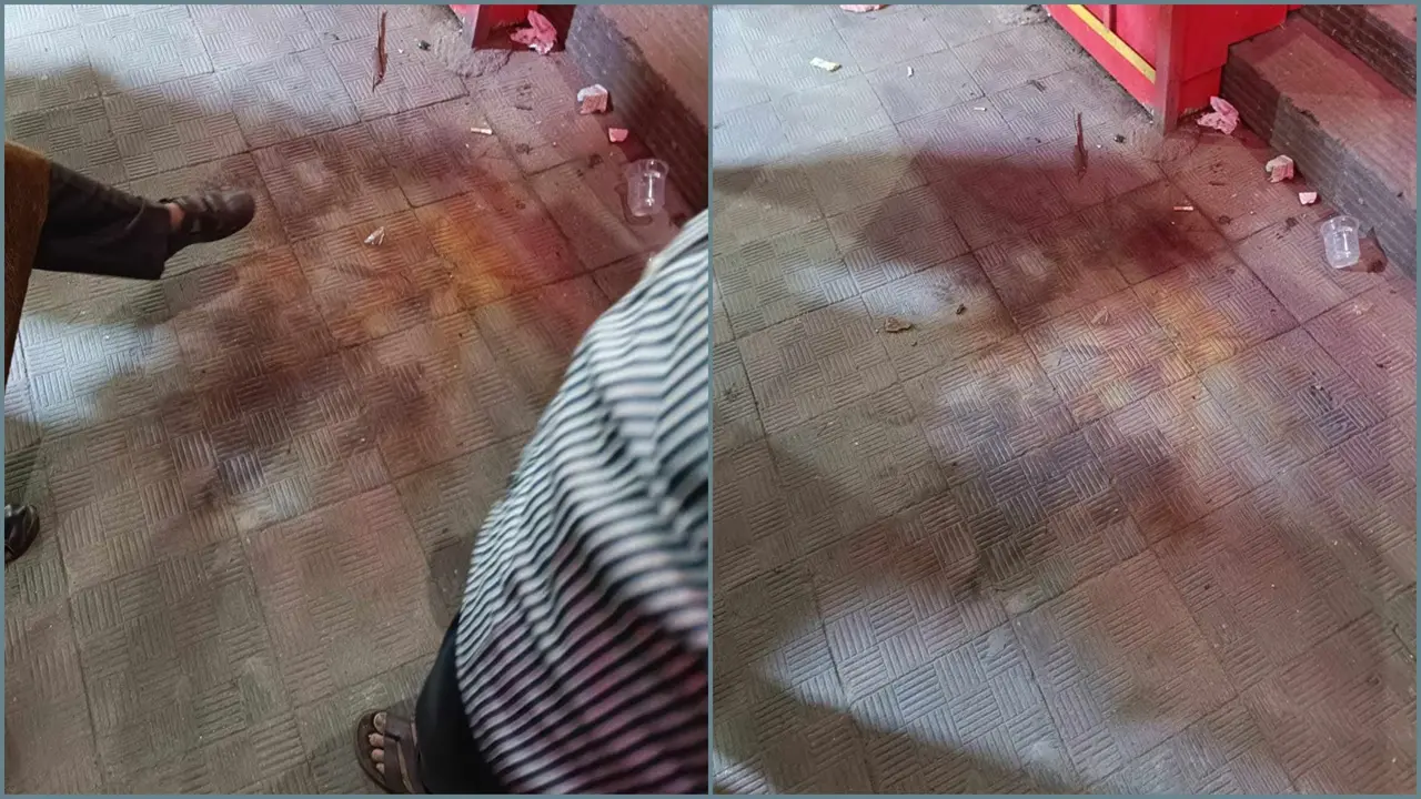 মৌচাকে ককটেল বিস্ফোরণ