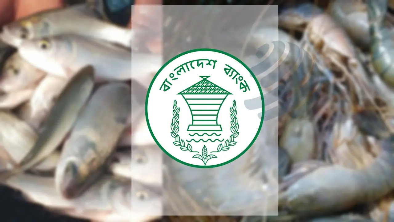 চিংড়ি ও মাছ রপ্তানির নগদ সহায়তায় নতুন নিয়ম