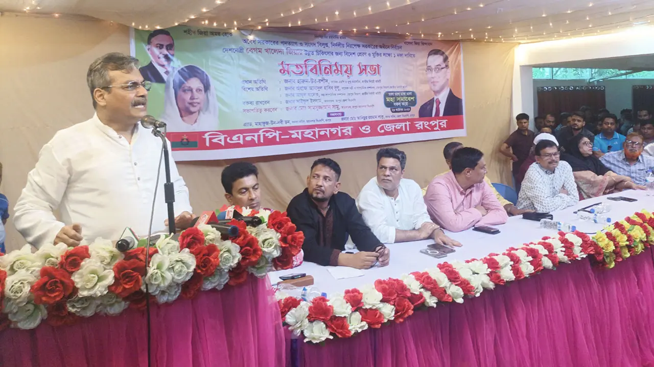 মহাসমাবেশের ডাক শুনে আওয়ামী লীগ ভয় পেয়েছে : হারুন 