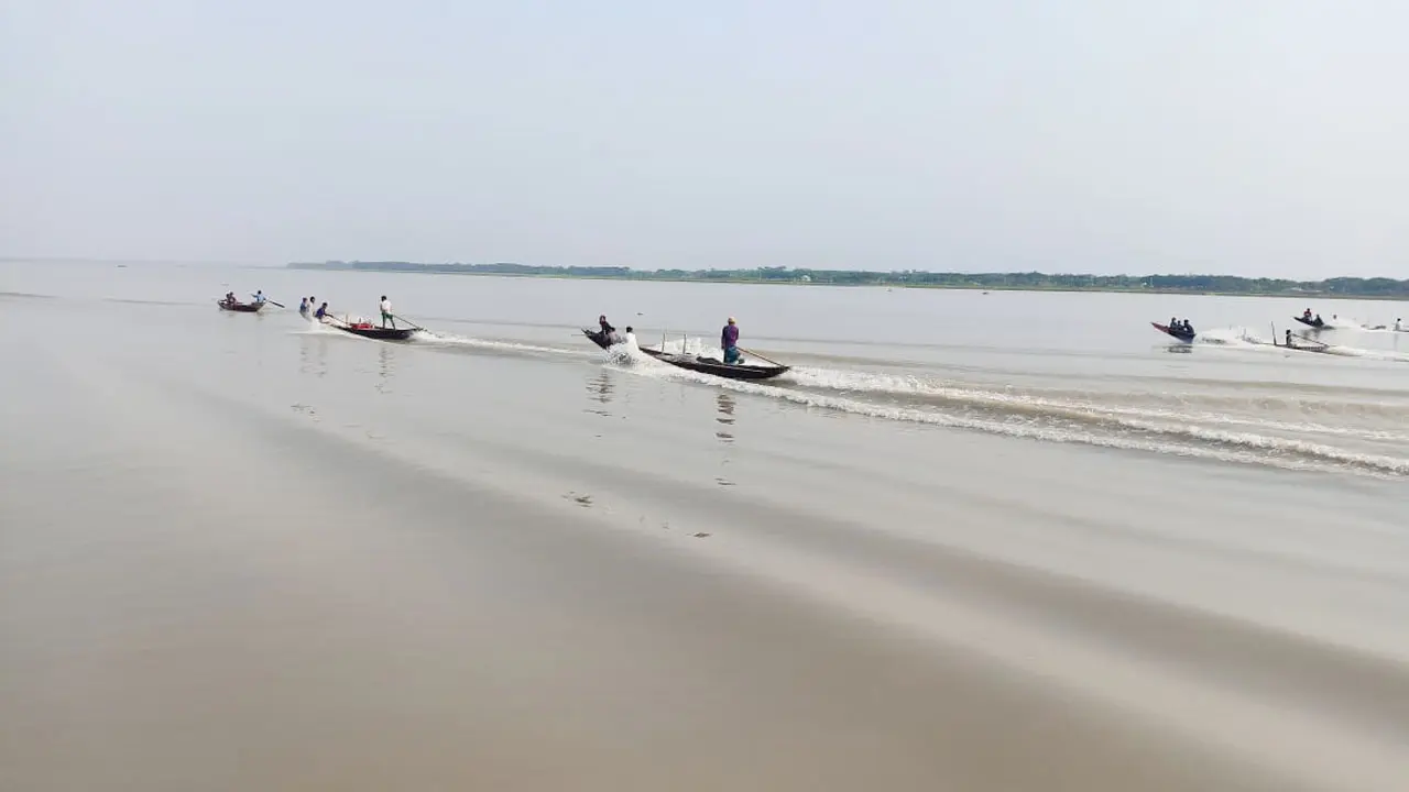 অভয়াশ্রমেও চলছে ইলিশ শিকার