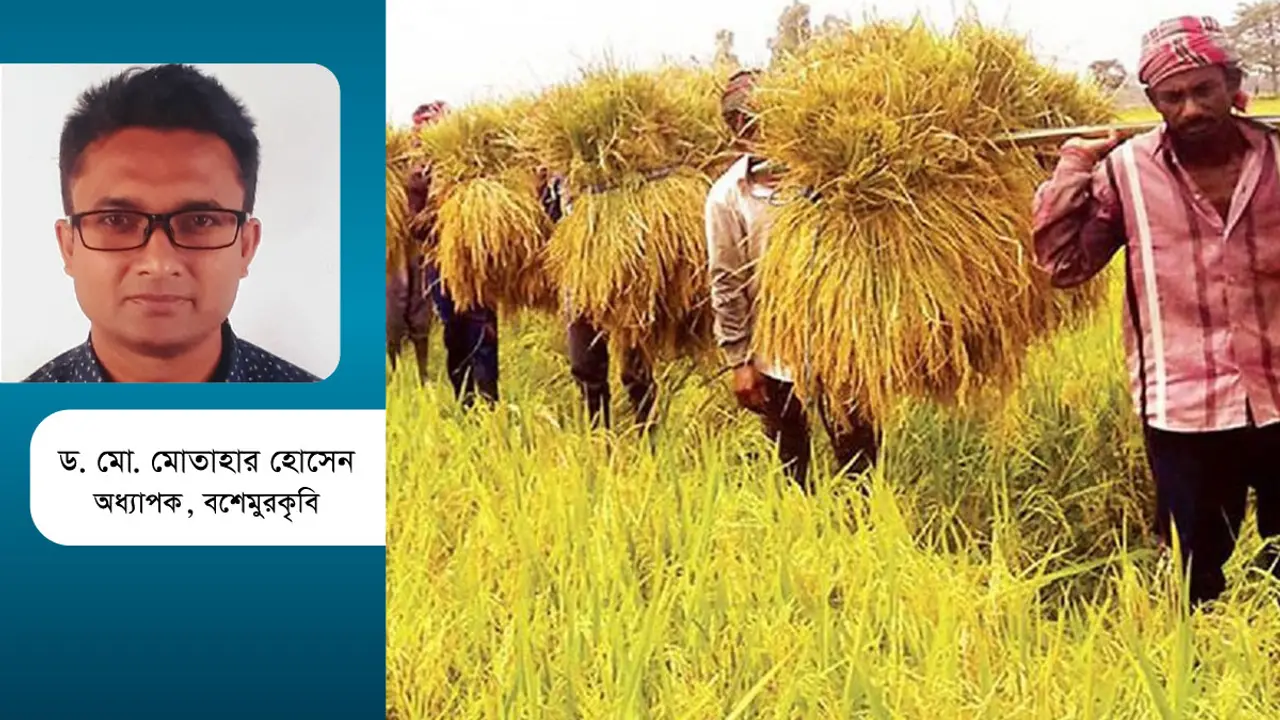 কৃষি যান্ত্রিকীকরণে বদলে যাচ্ছে হাওর কৃষি