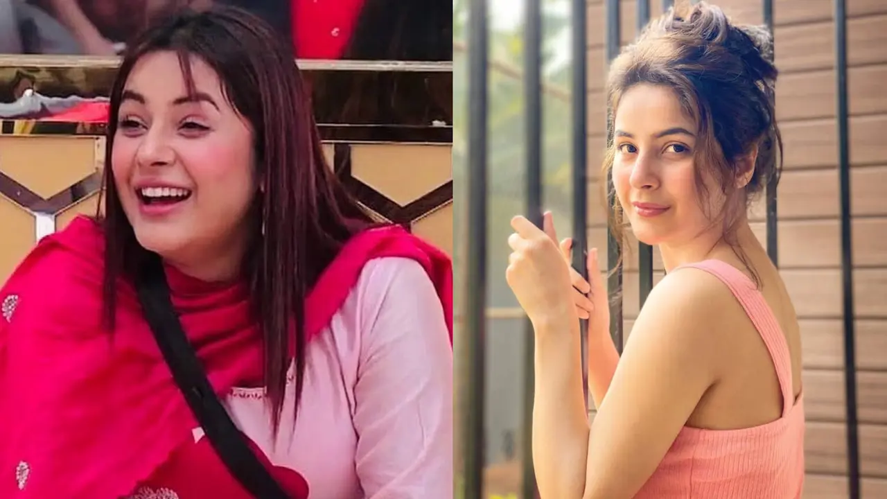 বলিউডে কাজ পেতে কী মাশুল গুনতে হয়, জানালেন শেহনাজ গিল