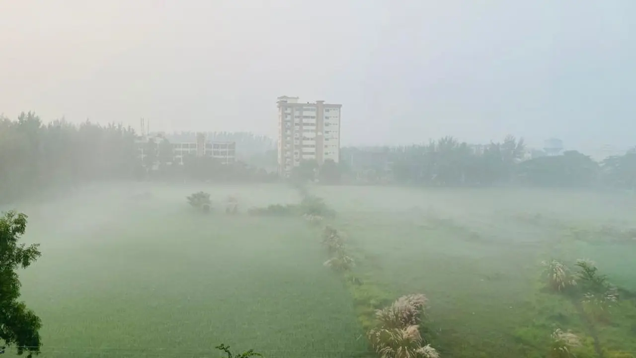 শিশিরবিন্দু জানান দিচ্ছে শীতের আগমনী বার্তা