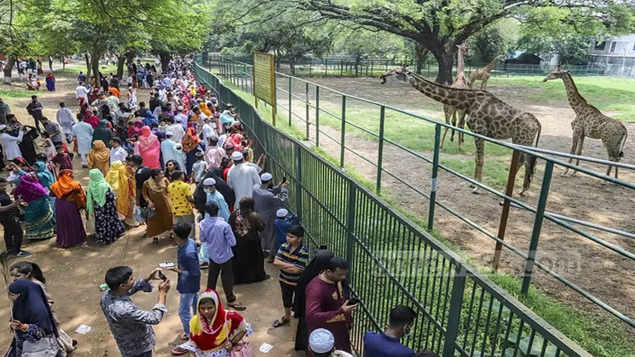 চিড়িয়াখানার প্রাণীকে খাবার দিলেই ২ মাসের জেল
