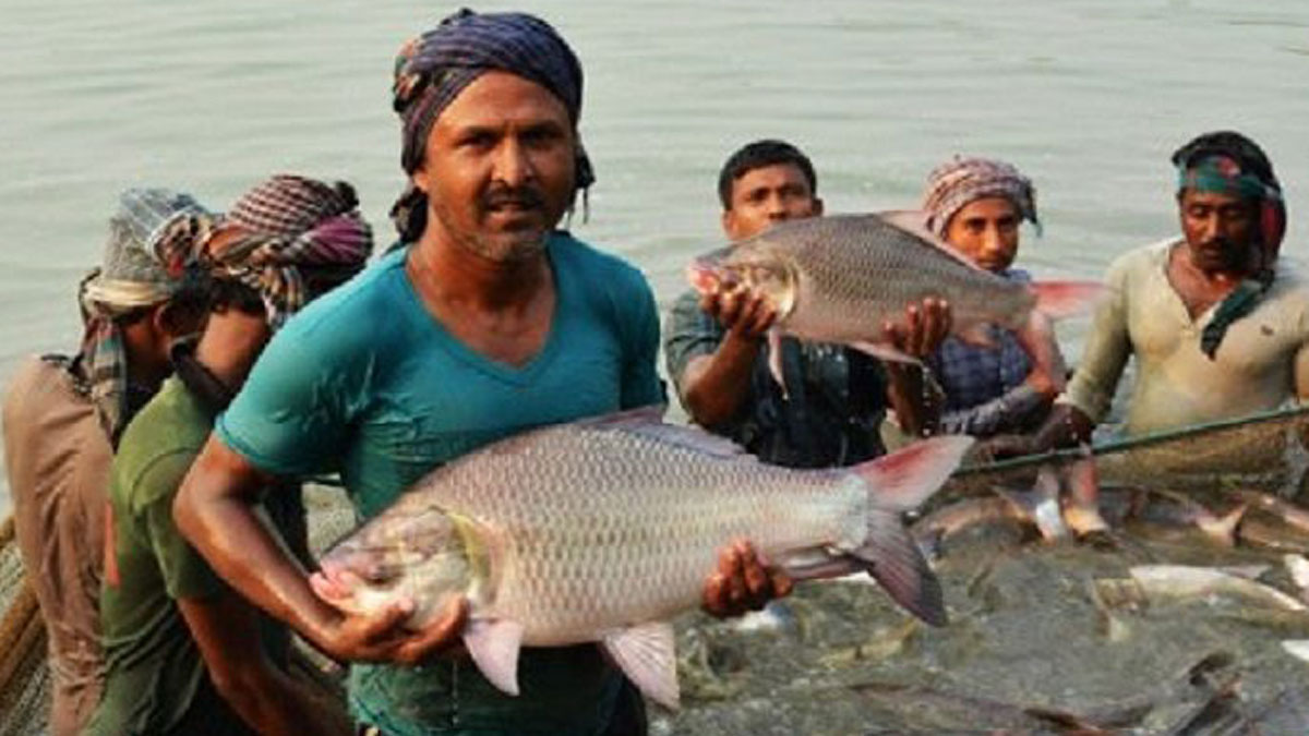 dhakapost
