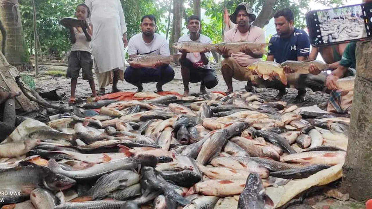 ২৩ হাজার টাকার টিকিটে মিলল ৮ মণ মাছ