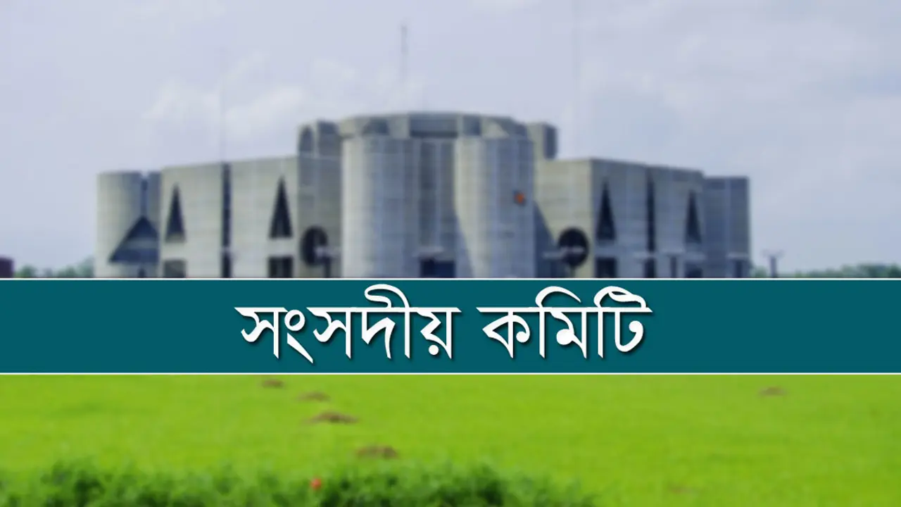সরকার সম্পর্কে দেশ-বিদেশে গুজব ছড়ানো হচ্ছে : সংসদীয় কমিটি
