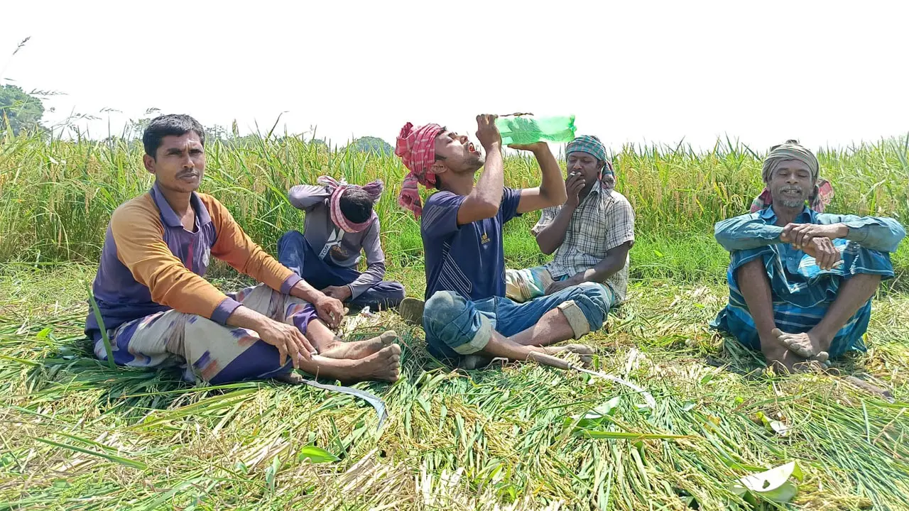 দেশের সর্বোচ্চ তাপমাত্রা চুয়াডাঙ্গায় ৪২ দশমিক ৭ ডিগ্রি 