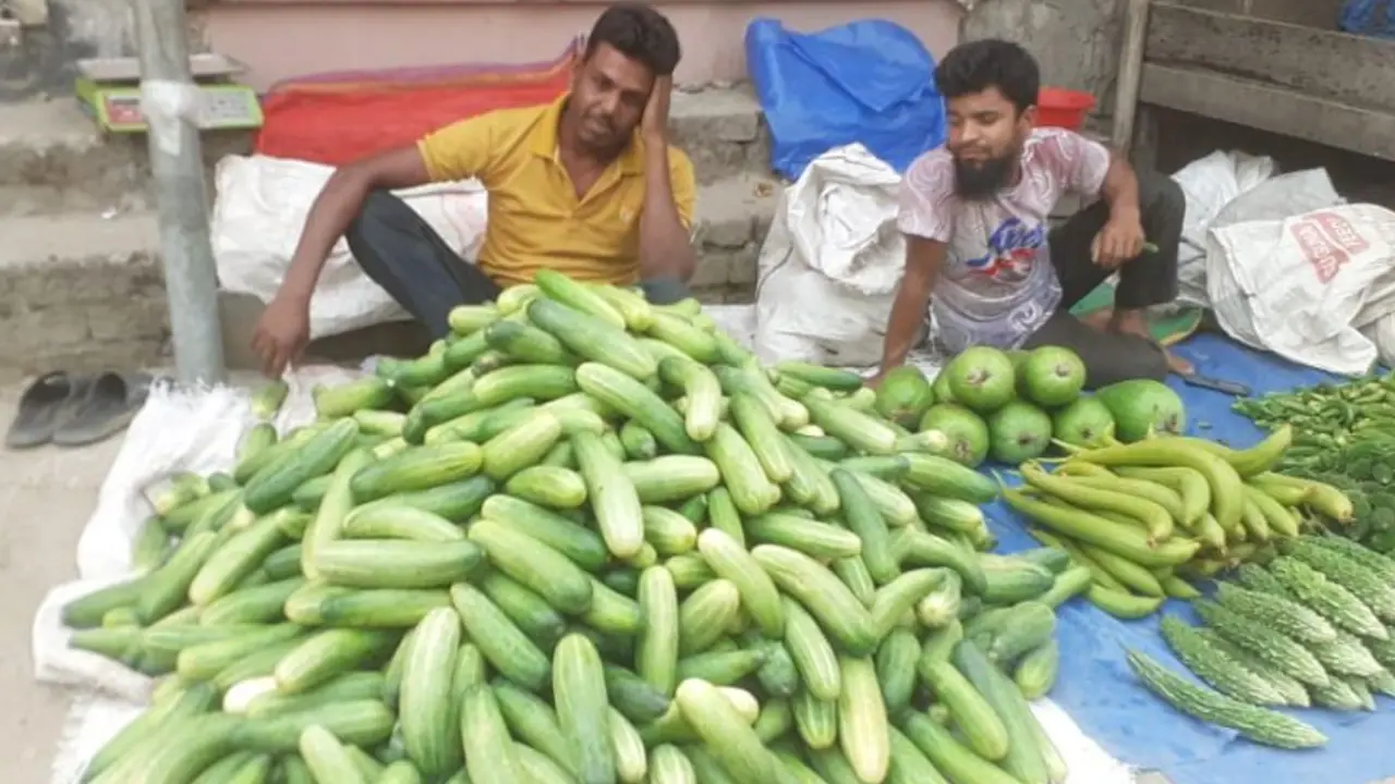 এক মণ শসা বিক্রি করেও মিলছে না এক কেজি চাল