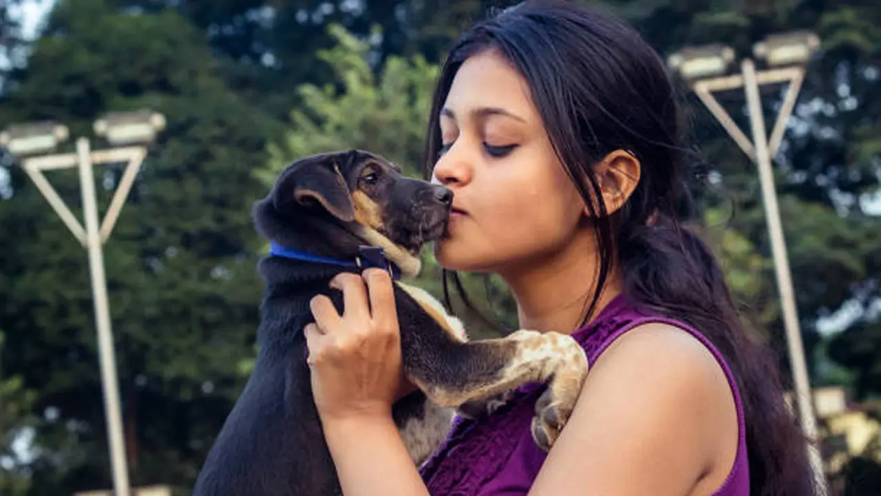 পোষা প্রাণীকে চুম্বন করা কতটা নিরাপদ?