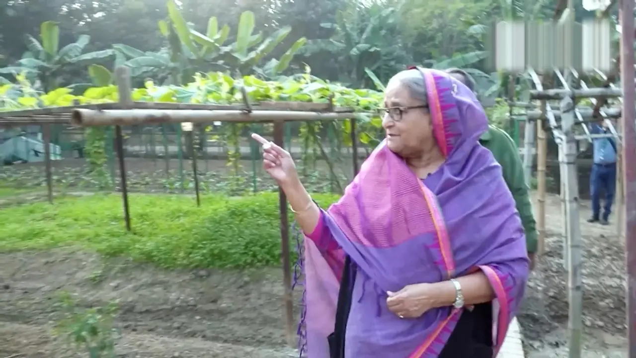 গণভবনের শাক-সবজি কৃষক লীগ নেতাদের উপহার দিলেন শেখ হাসিনা