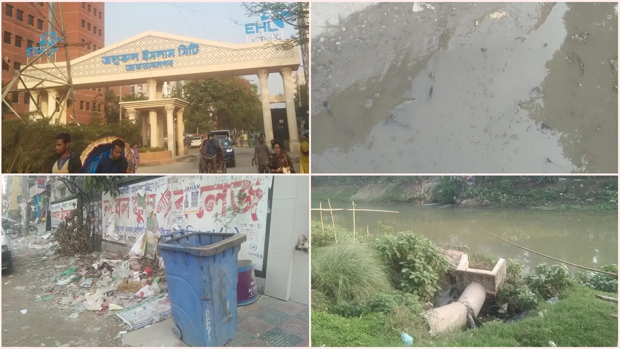 আফতাবনগরে হঠাৎ বেড়েছে মশার উপদ্রব