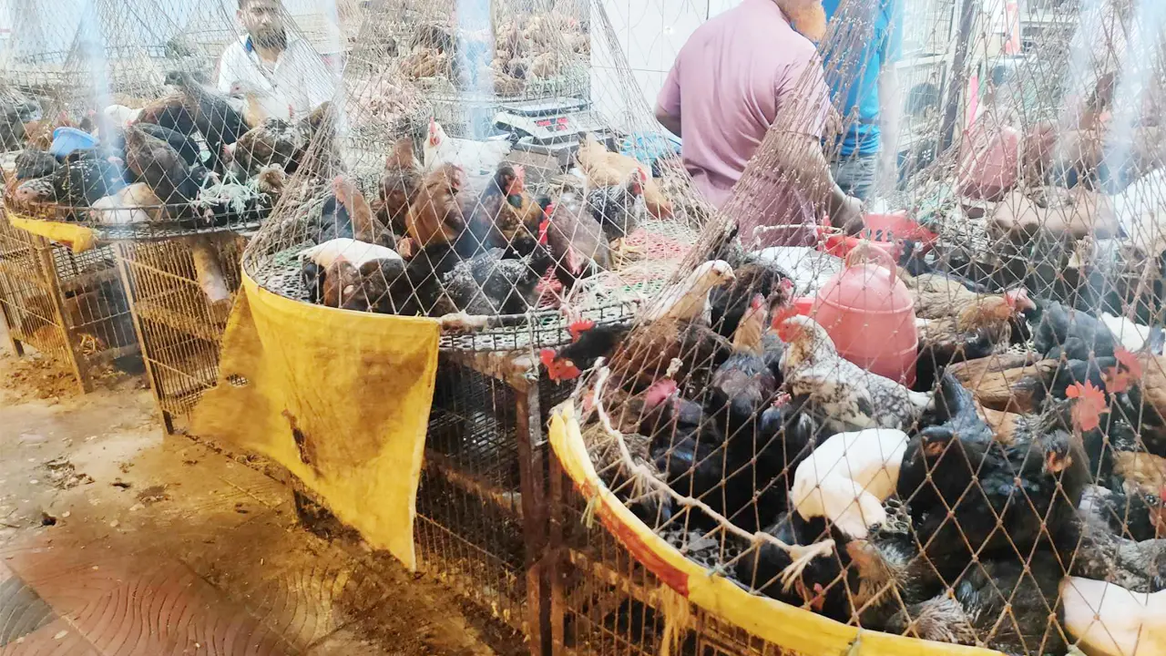 `চাঁদরাত' ঘিরে বেড়েছে মাংসের দাম 