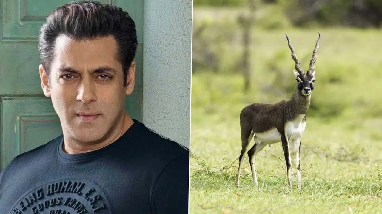 যে শাস্তি দিতে সালমান খানের বাড়িতে হামলা চালায় সন্ত্রাসীরা