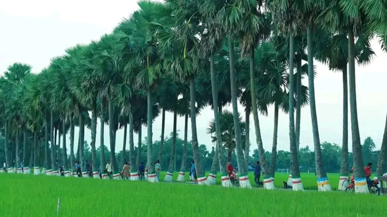 dhakapost