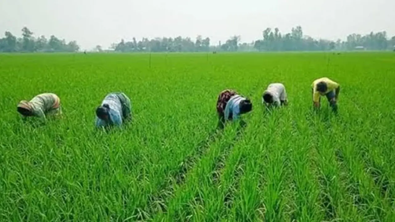 কৃষি খাতে ৩৮ হাজার কোটি টাকা ঋণ দেবে ব্যাংক