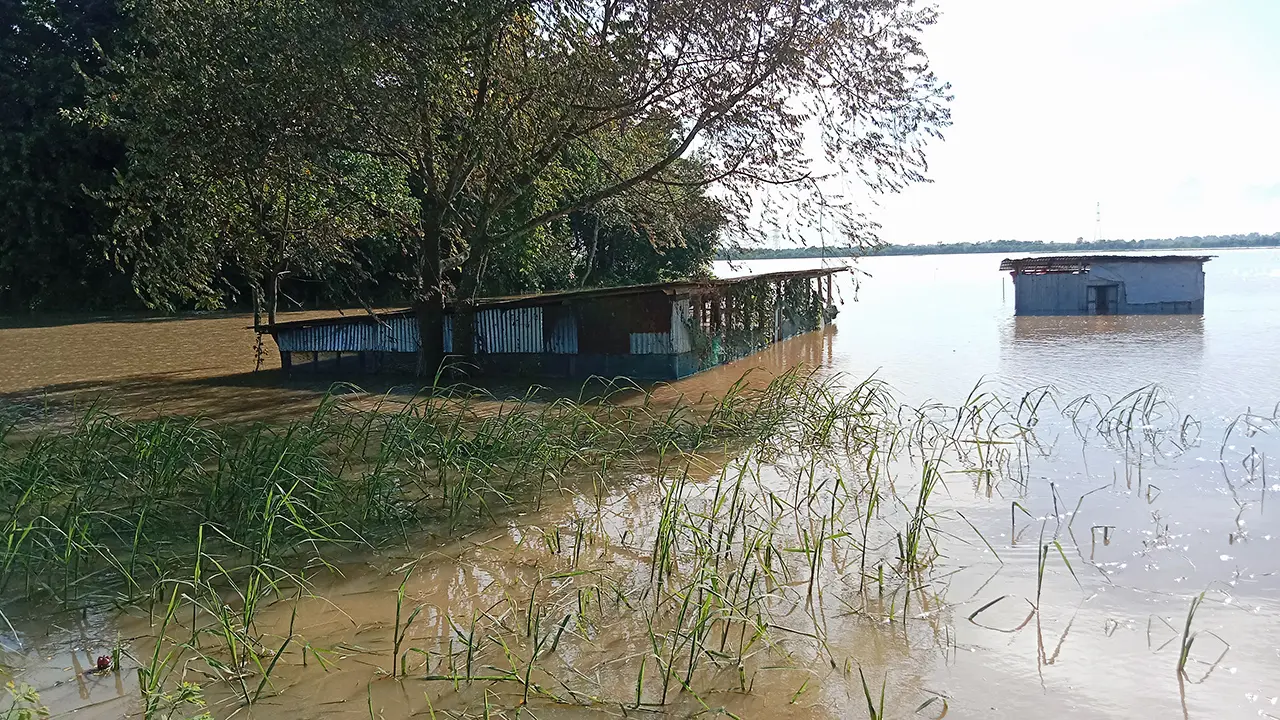 ভয়াবহ বন্যায় কুমিল্লায় ফসলের ক্ষতি ৮৪৮ কোটি
