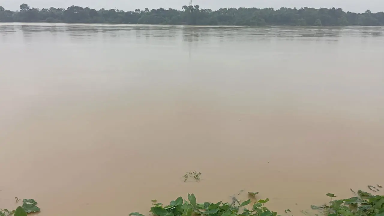 বেড়িবাঁধ ছুঁই ছুঁই গোমতীর পানি, আতঙ্কে কুমিল্লা শহরের মানুষ 