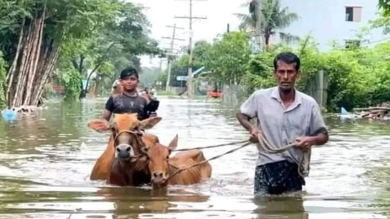 বাঁধের পানি ছাড়ার কারণে বাংলাদেশে বন্যা হয়নি, দাবি ভারতের