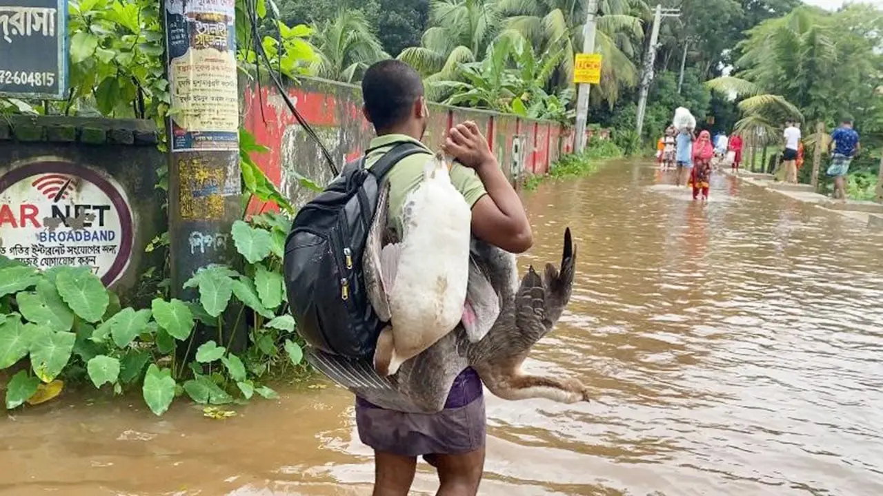 বন্যায় বিপর্যস্ত ১৩ জেলা যেন চেনার উপায় নেই