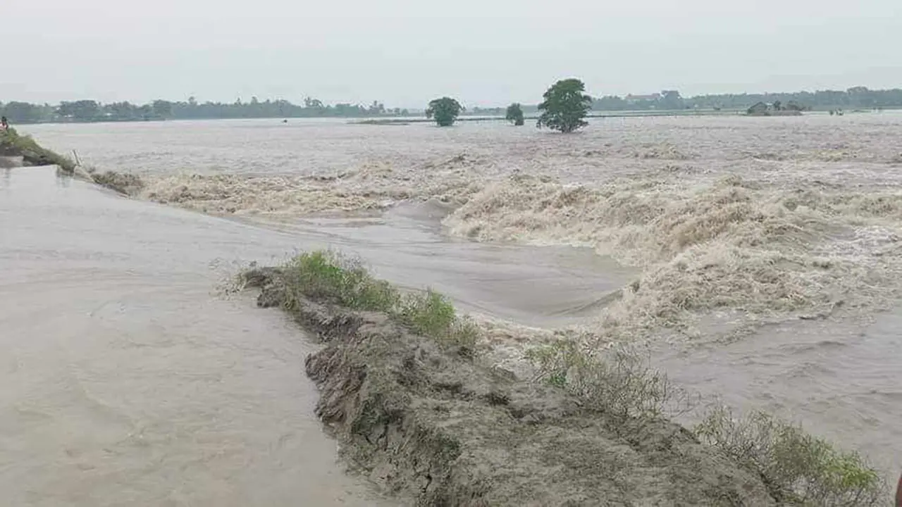 বেড়িবাঁধ ভেঙে পাইকগাছার ১৩ গ্রাম প্লাবিত