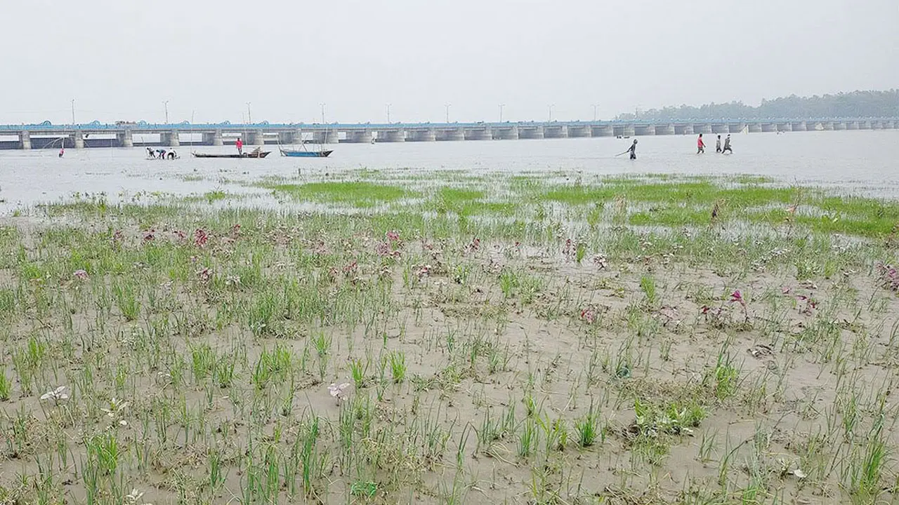 বছরে তিস্তায় পড়ছে দুই কোটি টন পলি, কমছে পানির ধারণক্ষমতা