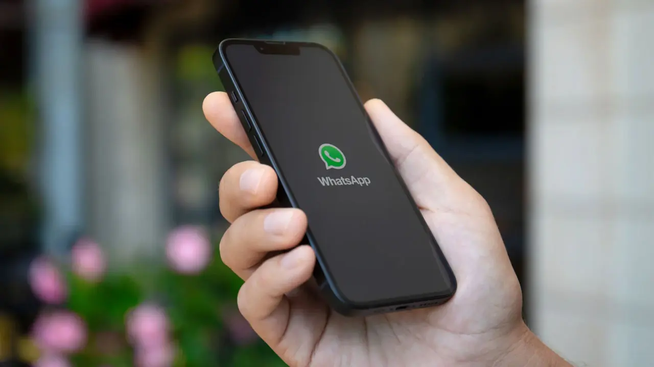 হোয়াটসঅ্যাপে যুক্ত হচ্ছে চ্যাট থিম ফিচার