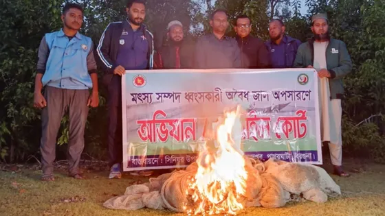 বরগুনায় ১৫ দিনে ২২ লাখ টাকার ঘোপজালসহ বিপুল পরিমাণ খুঁটি জব্দ