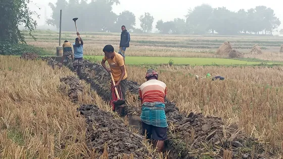 ভূগর্ভস্থ পানির সংকট, বরেন্দ্র অঞ্চলে ইরি ধান চাষে নিরুৎসাহ