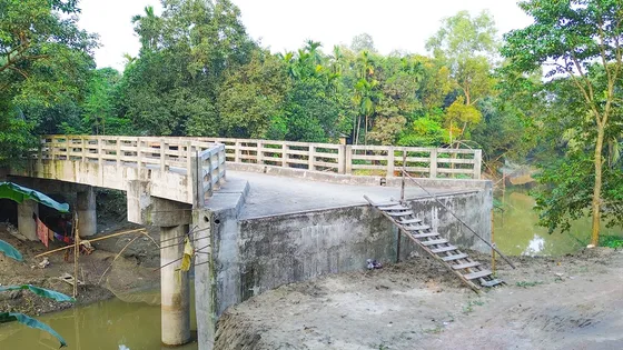 মই বেয়ে উঠতে হয় আড়াই কোটি টাকার সেতুতে