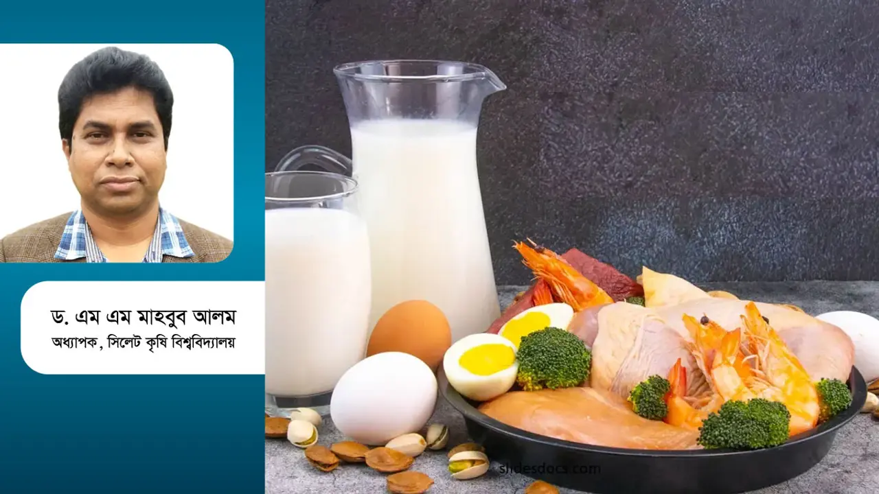 শরীরে আমিষ কেন গুরুত্বপূর্ণ?