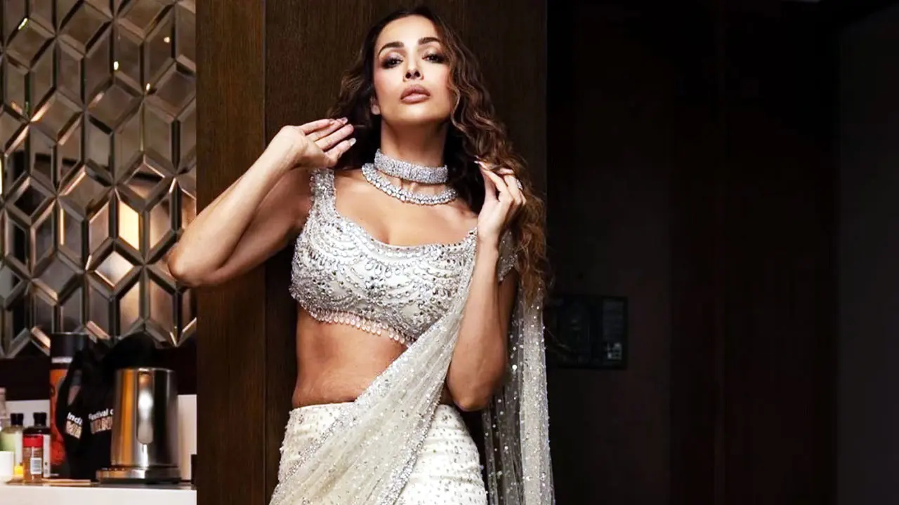 ২০২৪ সালে সবচেয়ে বড় শিক্ষা পেয়েছেন মালাইকা
