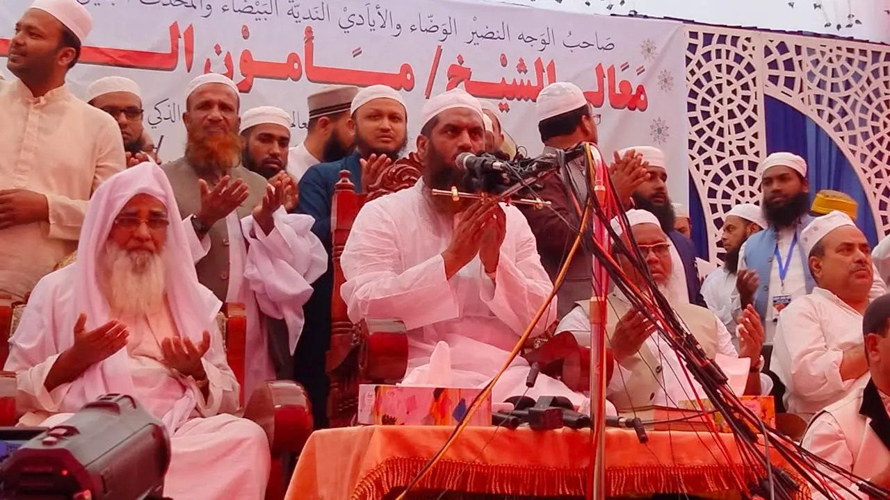 ৭২’র সংবিধানে একাত্তরের চেতনা ছিল না : মামুনুল হক 