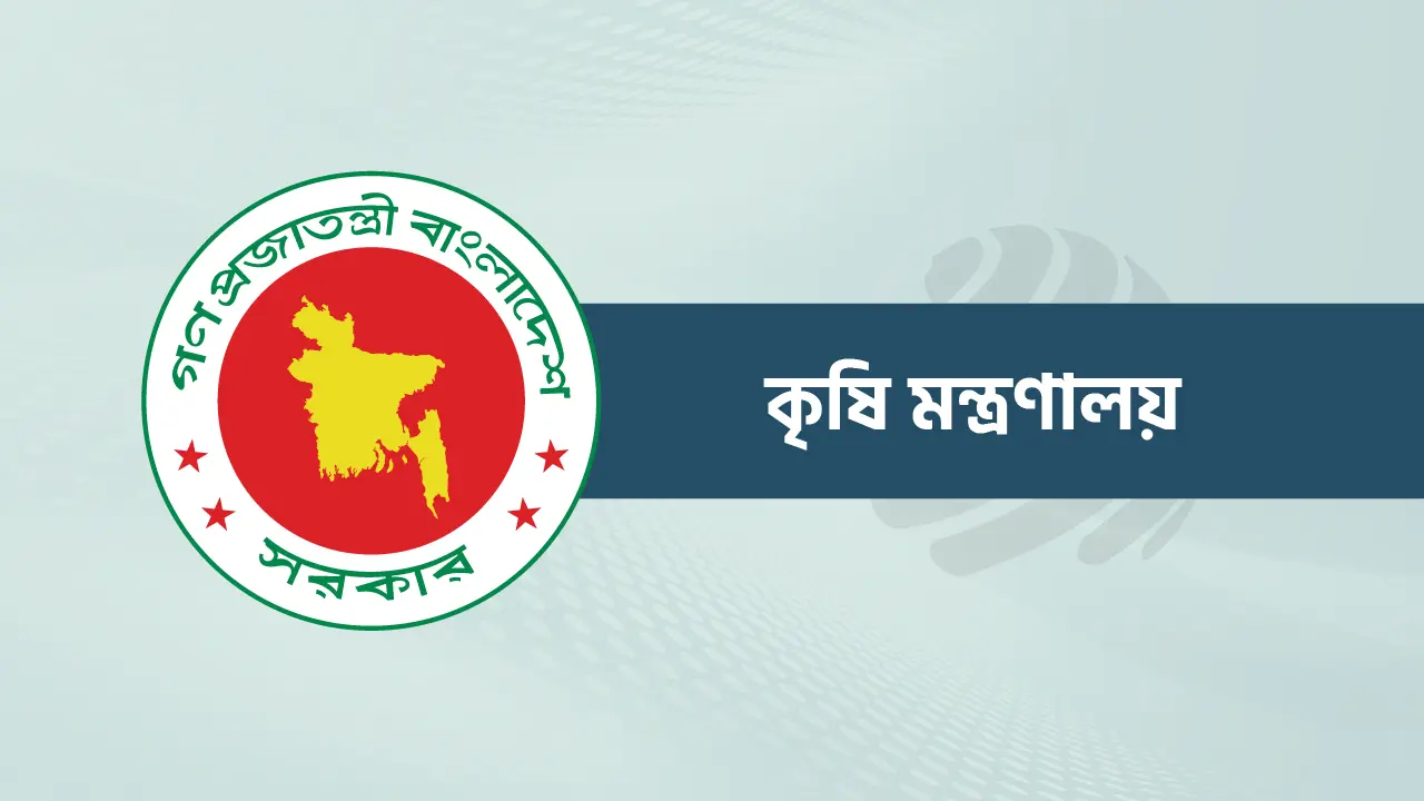 ক্ষতিগ্রস্ত পেঁয়াজ চাষীদের পুনরায় বীজ সরবরাহ করা হচ্ছে