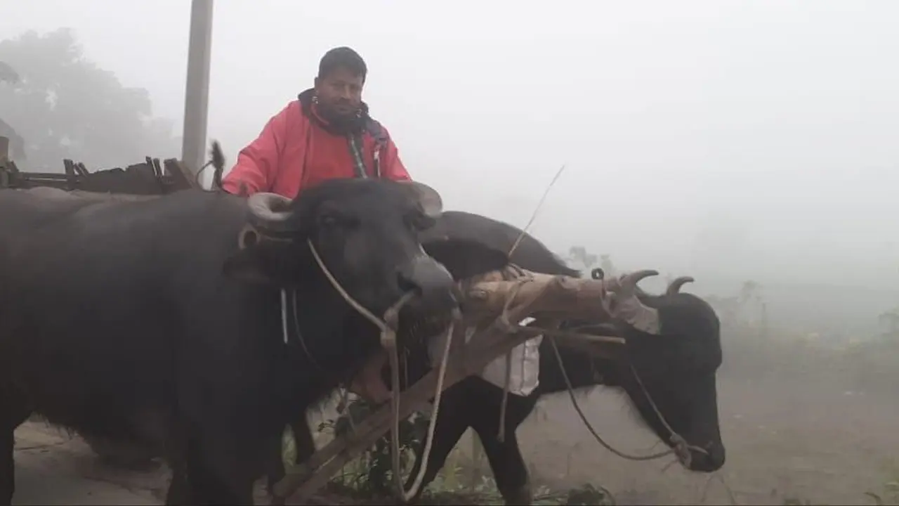 পঞ্চগড়ে তাপমাত্রা বাড়লেও কমেনি শীতের দাপট