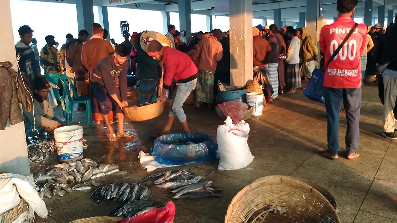 ভরা মৌসুমেও মিলছে না প্রত্যাশিত মাছ, বিক্রি হচ্ছে চড়া দামে