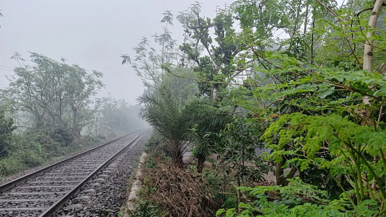 রাজশাহীতে দেখা নেই সূর্যের, গুঁড়ি গুঁড়ি বৃষ্টি