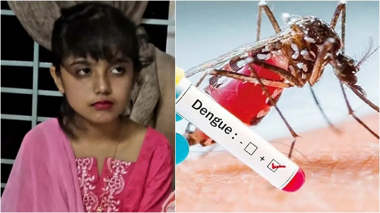 চারদিনের ডেঙ্গুতেই রিফাহ’র মৃত্যু, ‘তছনছ’ রায়হানের সংসার