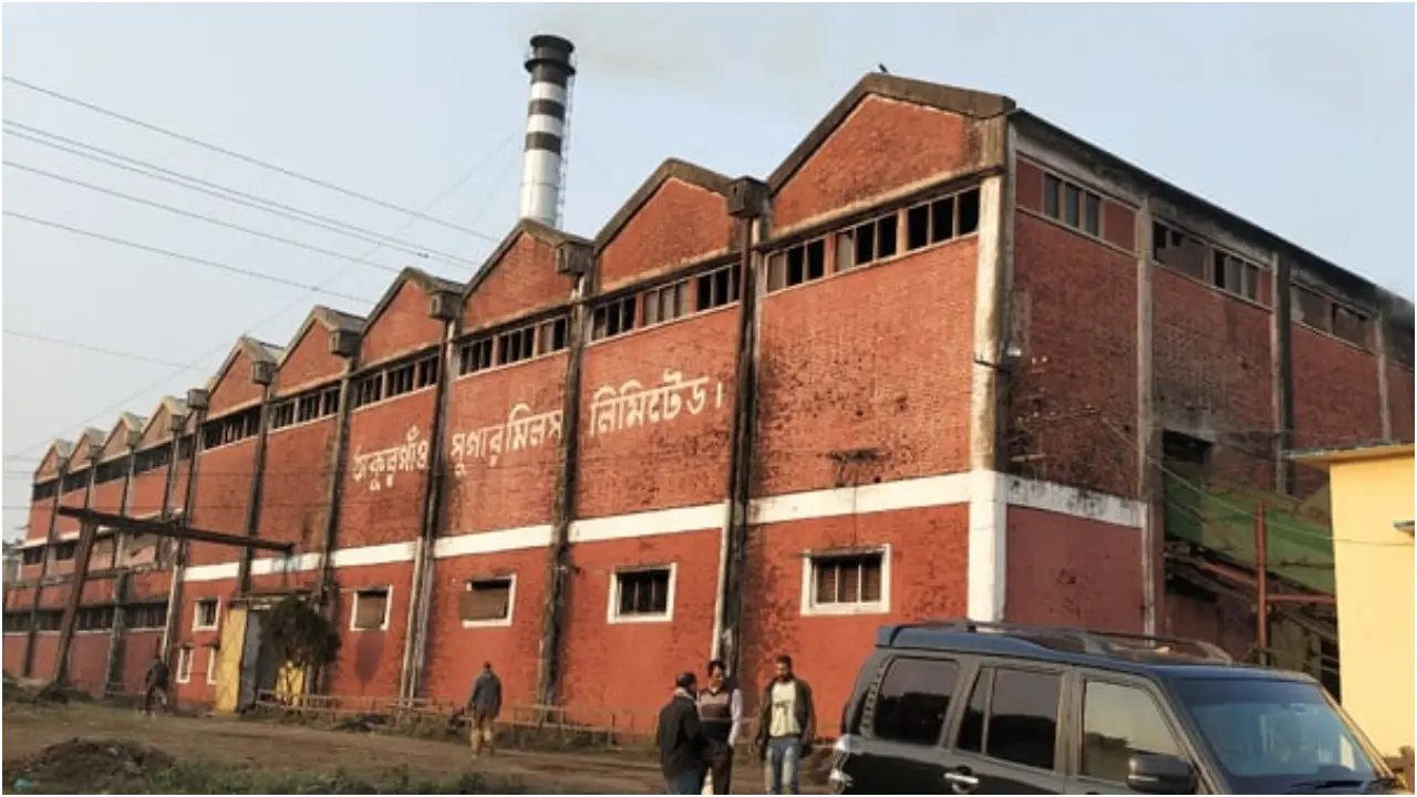 ঠাকুরগাঁও সুগার মিলে আখ মাড়াই মৌসুম শুরু