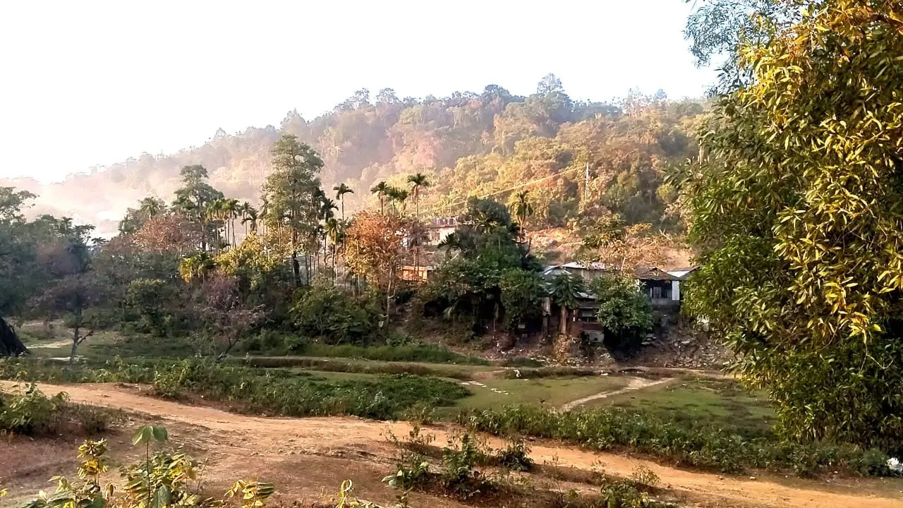 সীমান্তে বিএসএফের বিরুদ্ধে বেশ কয়েকজন বাংলাদেশিকে আটকের অভিযোগ