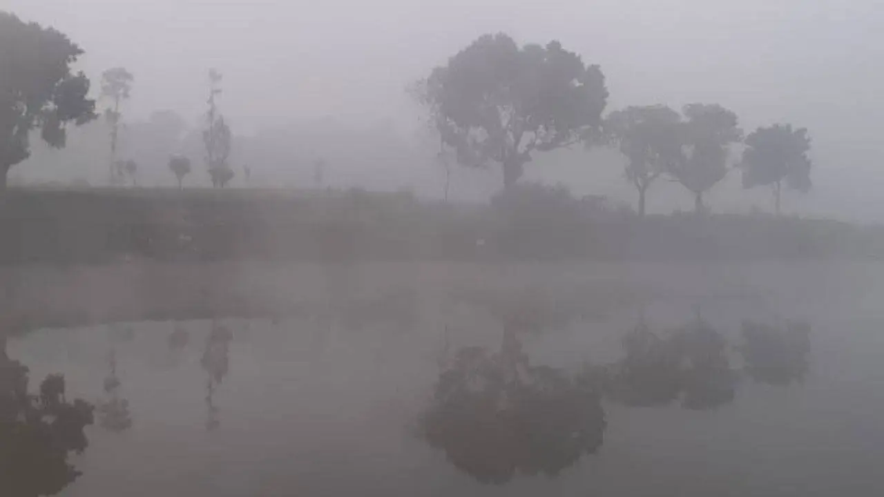 তাপমাত্রা ১০ ডিগ্রিতে, আরও কমার আভাস