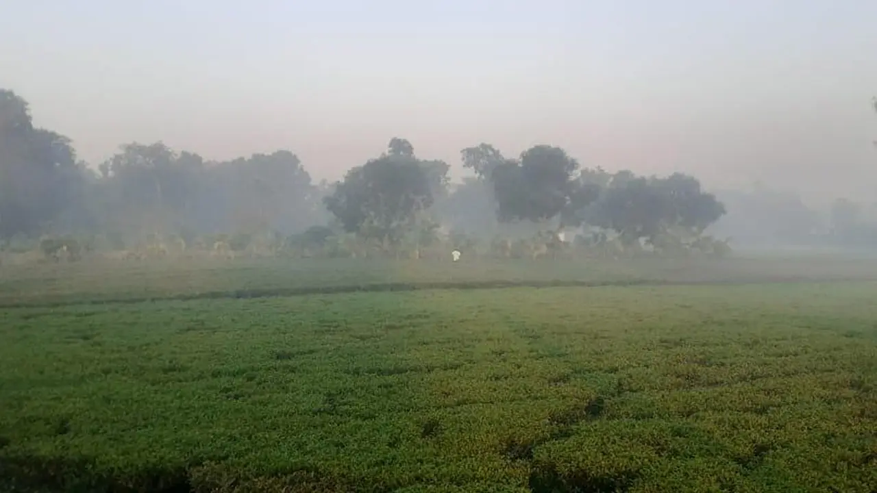 রোদের প্রভাবে দিনে বাড়ে তাপমাত্রা, রাতে তীব্র শীত