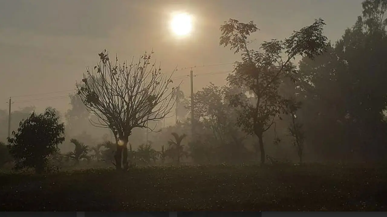 পঞ্চগড়ে ফের তাপমাত্রা নামল ৯ ডিগ্রির ঘরে