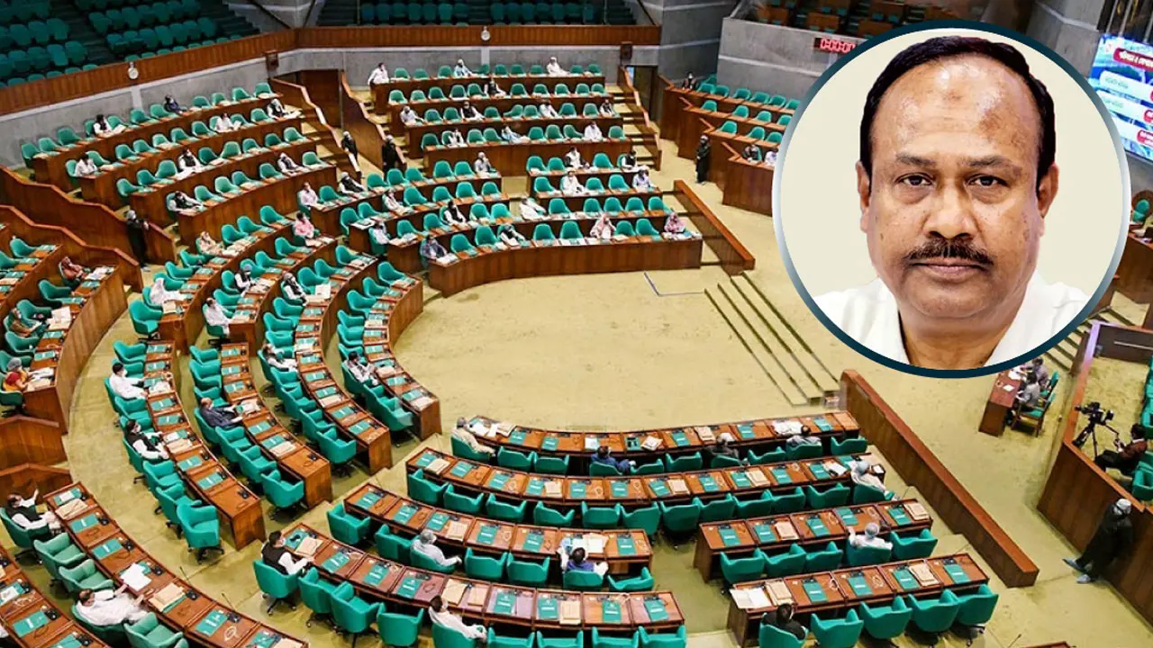সরকারি কর্মকর্তারা আইন লঙ্ঘন করলে বাঁচানো হয় : হুইপ চুন্নু