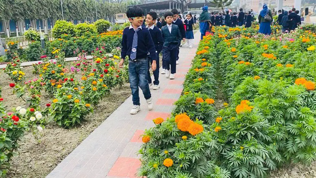 নোয়াখালী সার্কিট হাউজ যেন ফুলের রাজ্য