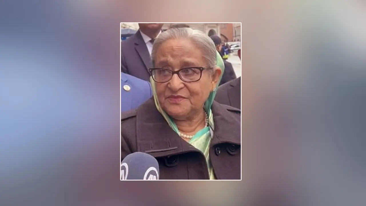গাজায় যা ঘটছে তা গণহত্যা : প্রধানমন্ত্রী