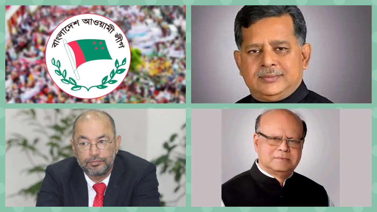 নৌকার প্রার্থী হয়েও হারলেন যারা