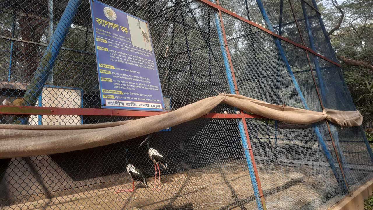 dhakapost