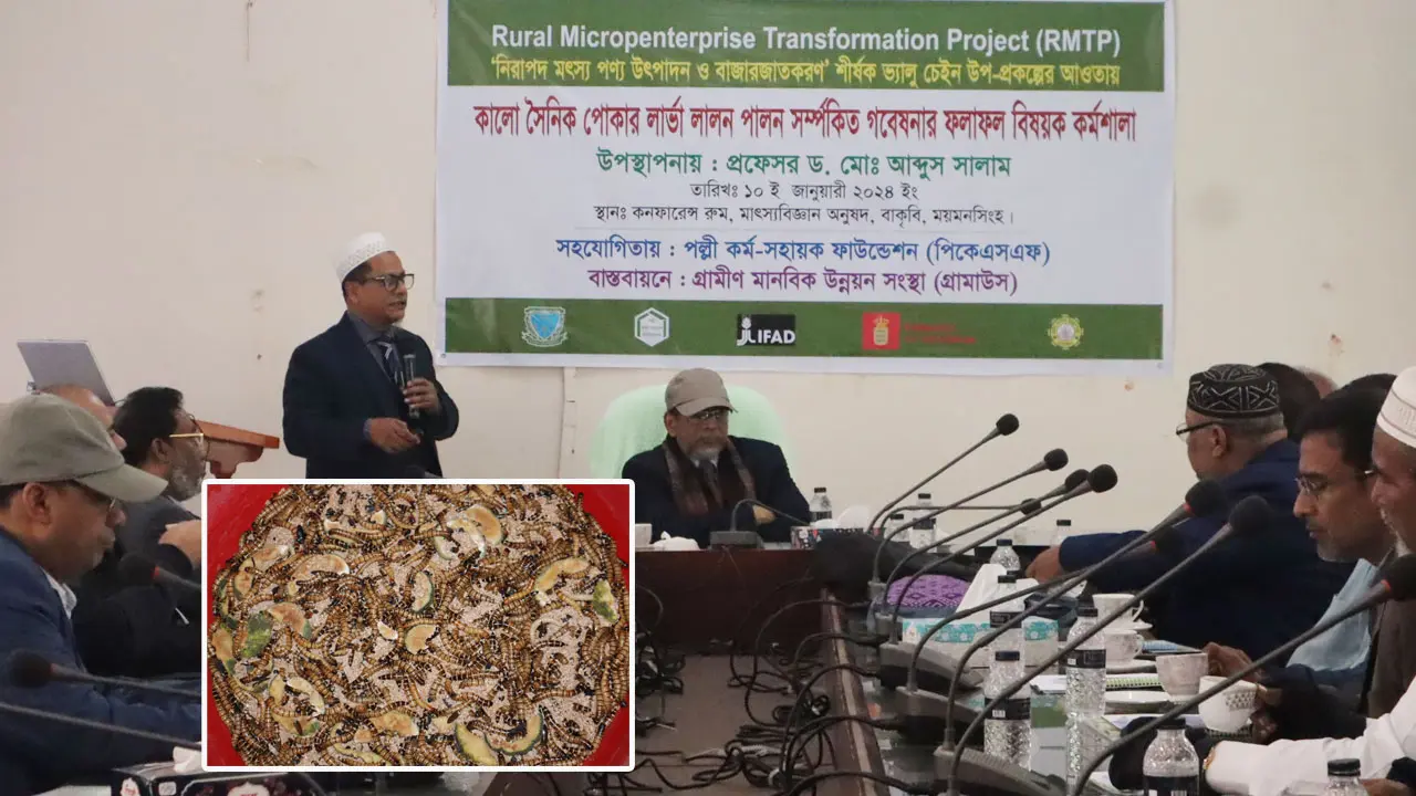 প্রোটিনের বিকল্প উৎস হবে কালো সৈনিক পোকা