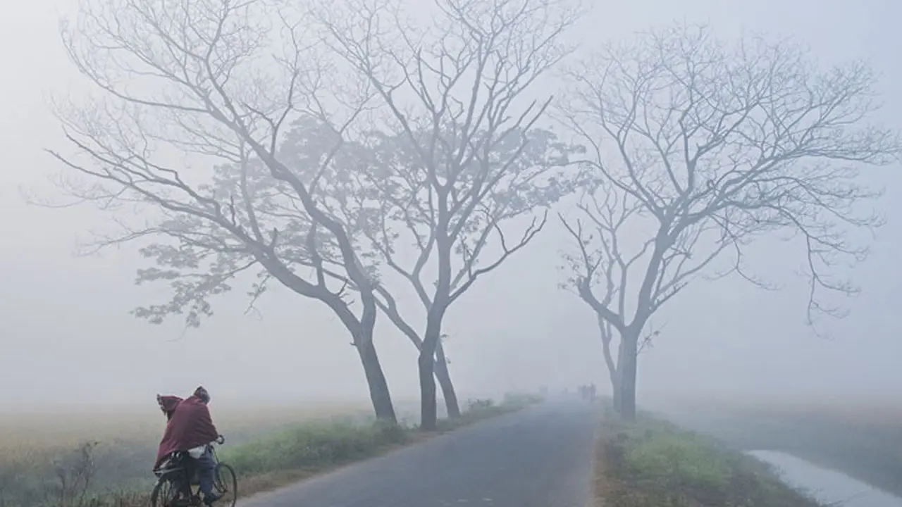 একটি বা দুটি শৈত্যপ্রবাহ জানুয়ারিতে